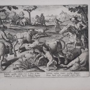 CACCIA AL BISONTE