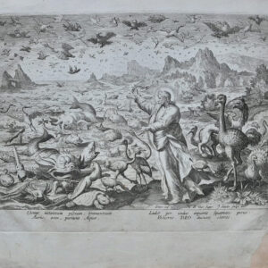 IL QUINTO GIORNO DIO CREÒ I PESCI E GLI UCCELLI, dalla serie Imago bonitatis illius
