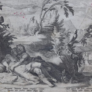 APOLLO E CORONIDE