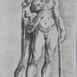 ERCOLE